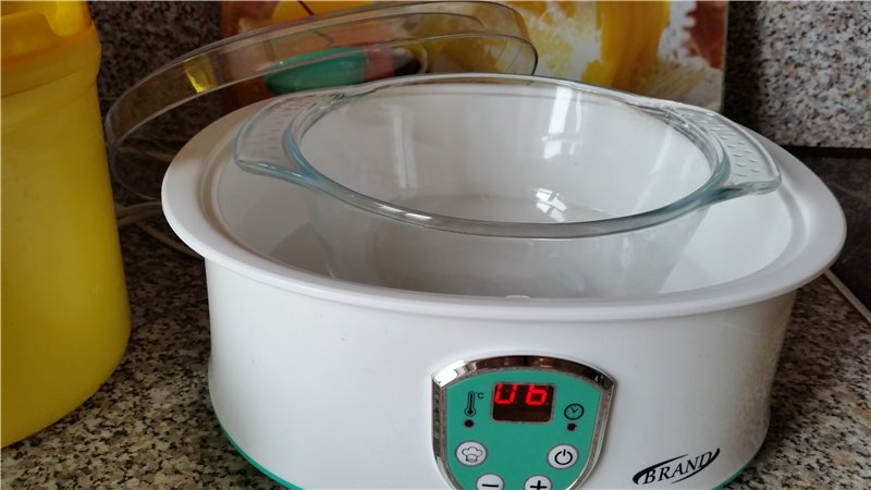 Yoghurtmaker Merk 100