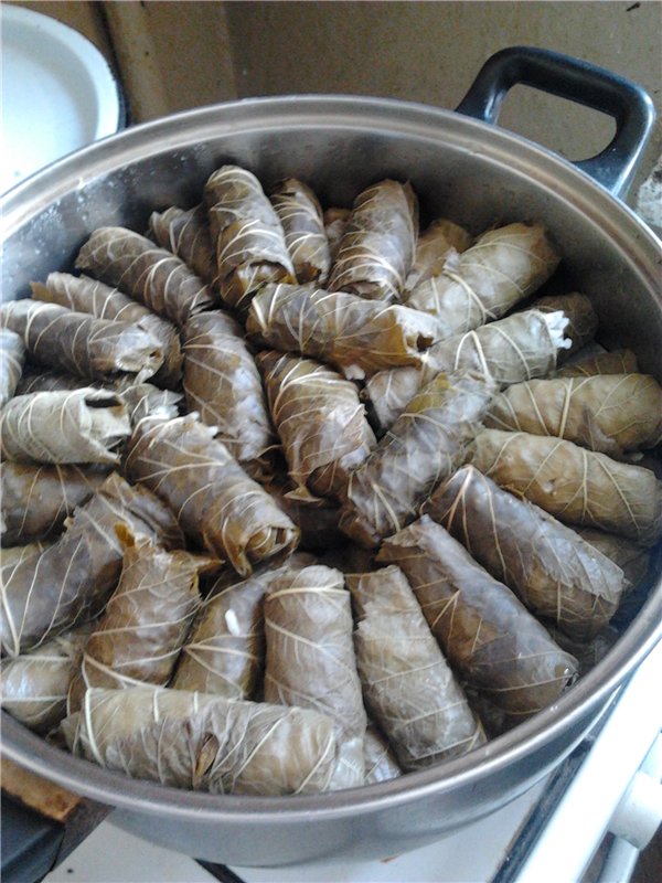 Dolmer (apparaat voor het rollen van gevulde kool en dolma)