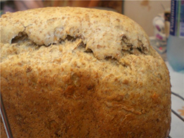 Pane grigio su birra leggera in una macchina per il pane