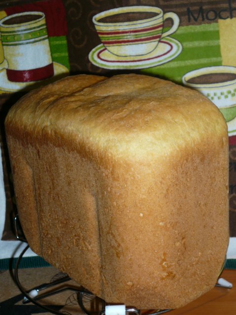 Panasonic SD-2501. Pan de huevo.