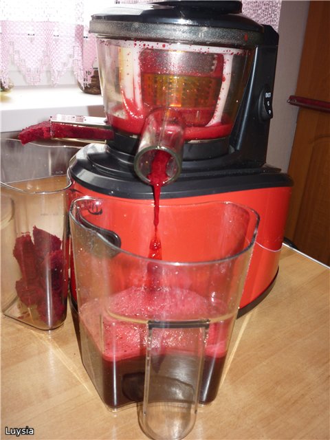 Vijzel juicer merk 9100