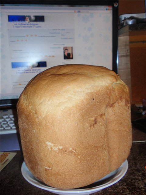 Utilizzando l'infuso di kombucha per l'impasto del pane