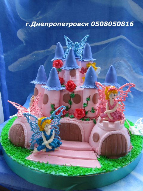 Castles, palaces, houses (cakes)