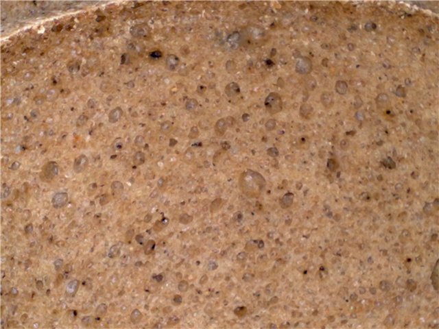 Pane di segale a lievitazione naturale in una macchina per il pane