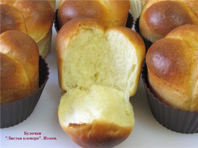 Clover Leaf Buns (forno)