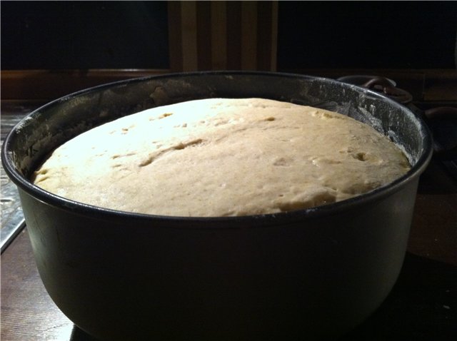 Southern wheat-rye bread with sourdough