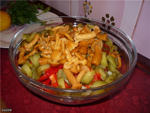 Bonte salade