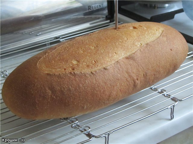 Pane italiano della pasta al forno