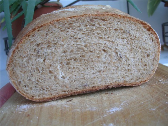 Country loaf with bran (in the oven)