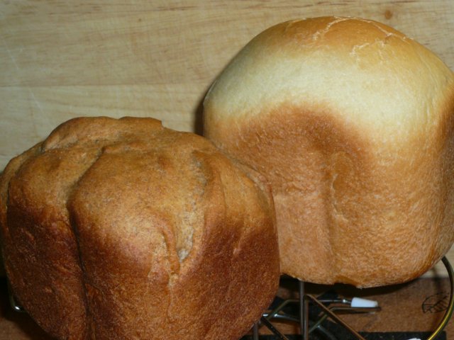 Cuocere il pane nella macchina per il pane Daewoo DI-9154