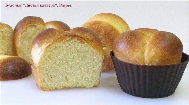 Clover Leaf Buns (forno)