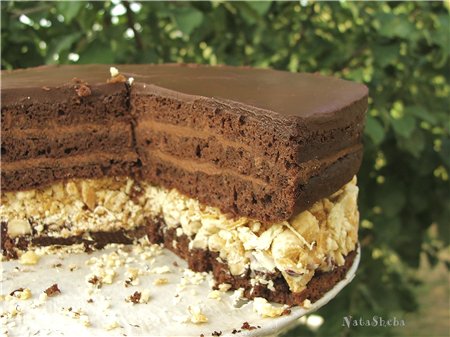 Ferrero Rocher Cake