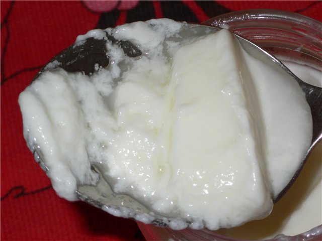 Yogur con cultivos iniciadores bacterianos (narine, Vivo, etc.)