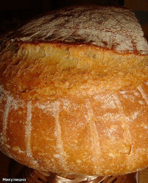 Pane di grano su pasta matura (autolievitazione)