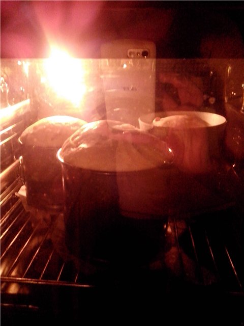 Kulich with Myasoedovskaya in the oven (master class)