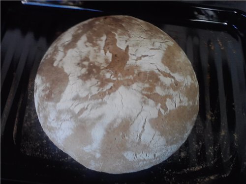 Bread Como (Pane di Como) in the oven (not to be confused with Pane di Come Antico)