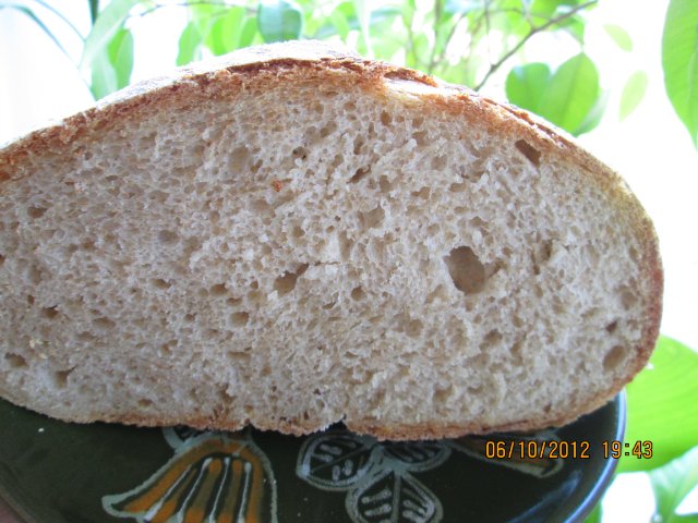 ขนมปังข้าวสาลีแบบชนบท (Pane Bigio) ในเตาอบ