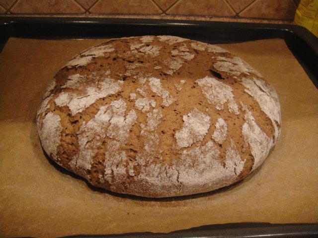 Homemade rye-trigo tinapay na may sourdough (oven)