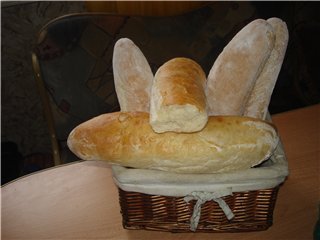 Stokbrood op oud deeg / Baguette de pate fermentee (oven)