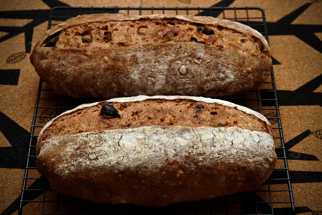 Ang tinapay ng Winemaker (Pain au Vingeron) sa oven