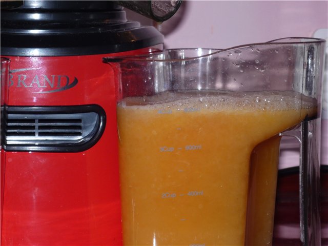 Auger juicer Μάρκα 9100