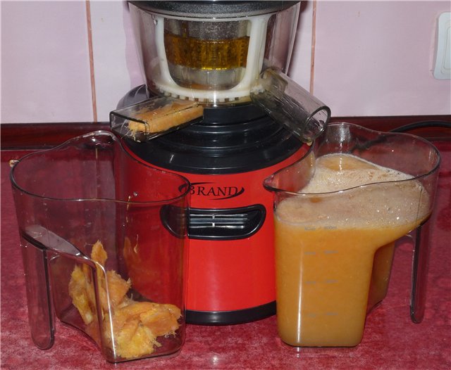 Auger juicer Brand 9100