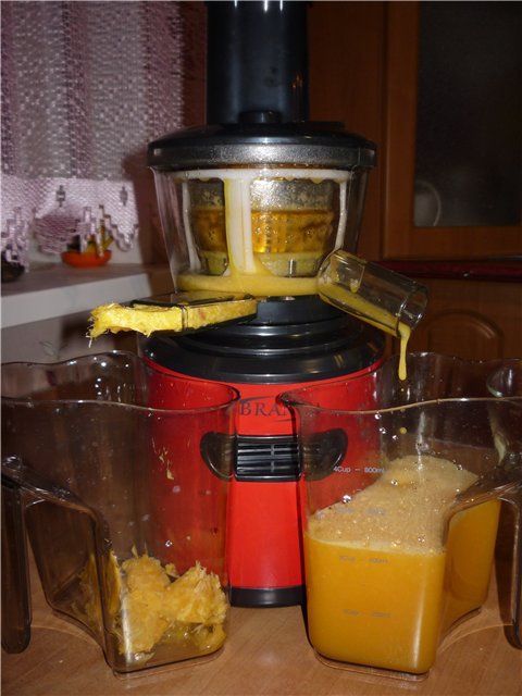 Auger juicer Brand 9100