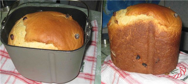 Kulich Royal bummer in a bread maker