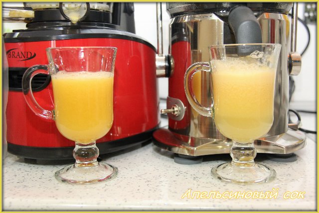 Vijzel juicer merk 9100