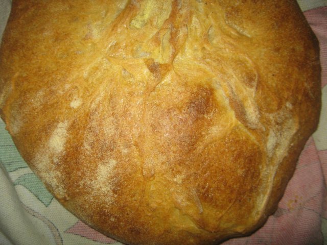 Italian bread (Ann Thibeault) in the oven