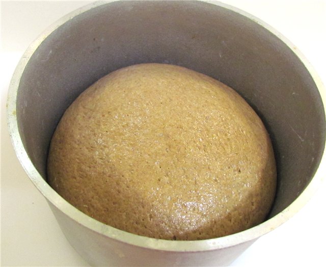 Brewed coriander bread (oven)