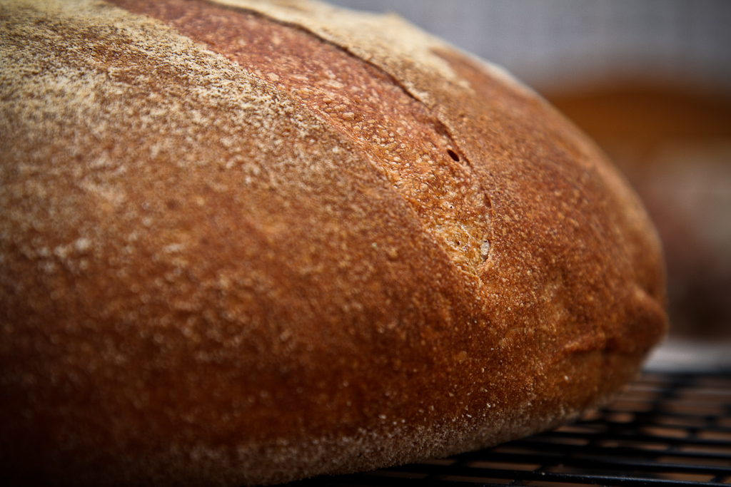 High-Extraction Flour Miche in the oven