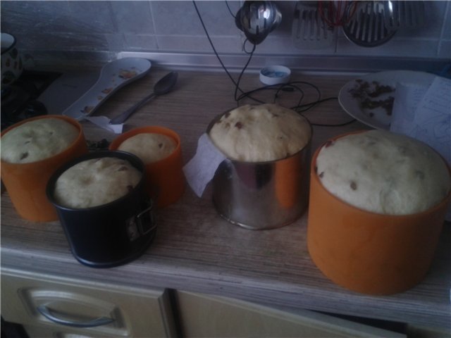 Kulich con Myasoedovskaya en el horno (clase magistral)