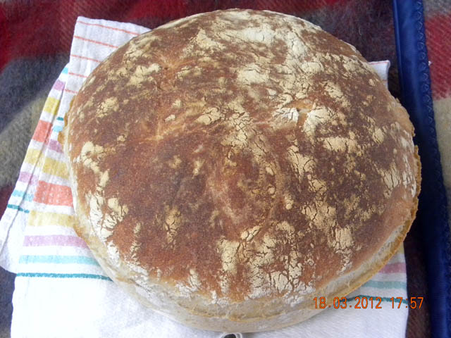 Italian bread (Ann Thibeault) in the oven