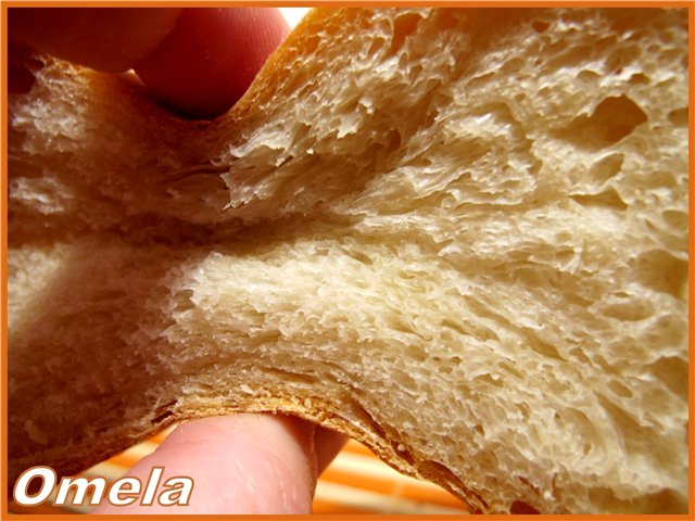 Pane di grano a lunga fermentazione (forno)