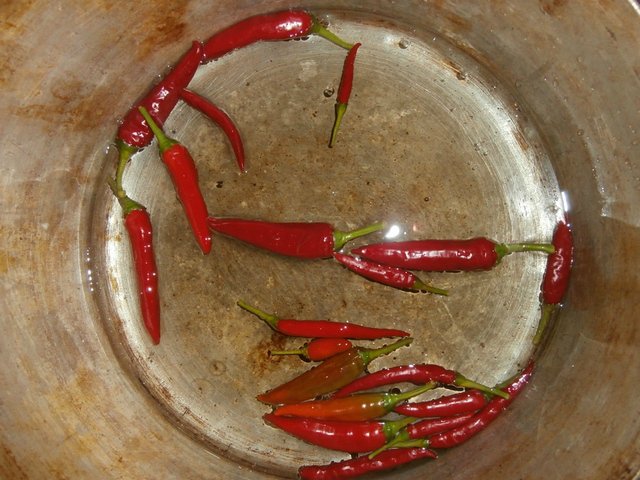 Pimientos picantes