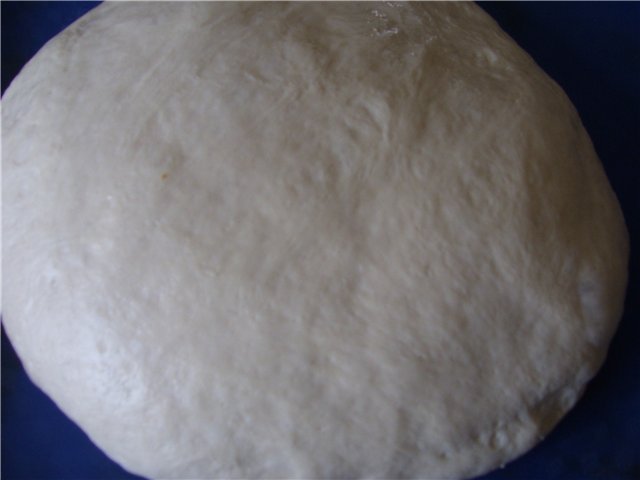 Pane di grano a lunga fermentazione (forno)