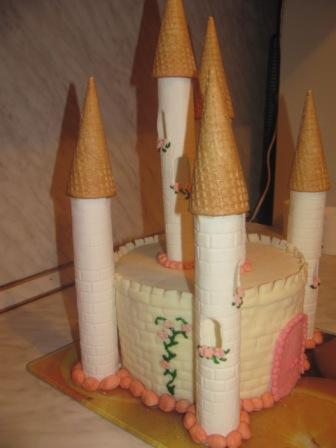 Castles, palaces, houses (cakes)