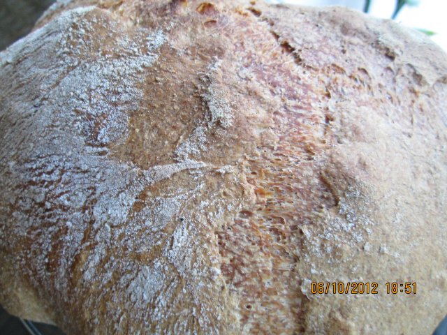 Pane di grano rustico (Pane Bigio) al forno