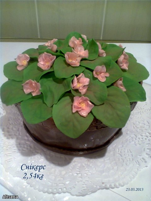 Torte di fiori