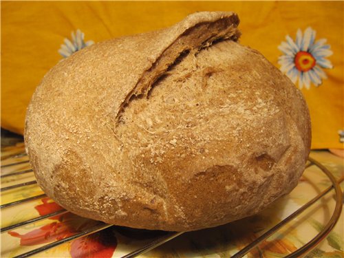 Pane di grano su mosto di segale kvas e pasta matura