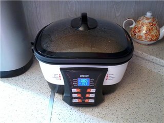 Multicooker Mystery MCM-5014/5015