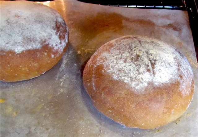 Pane civile secondo GOST (forno)