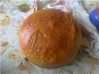 Pane di grano a lunga fermentazione (forno)