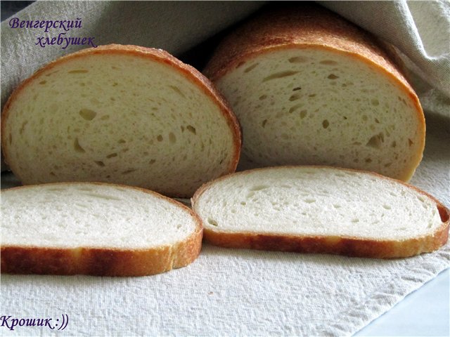 Tarwebrood "Hongaars" in de oven