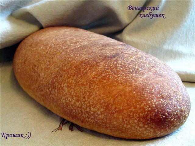 Pane di grano "ungherese" al forno