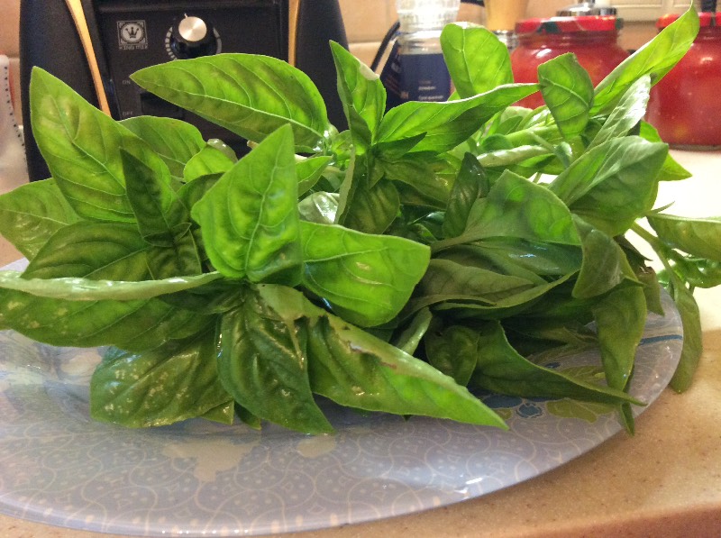 Pomodori secchi al forno in olio profumato (cottura e conserve)