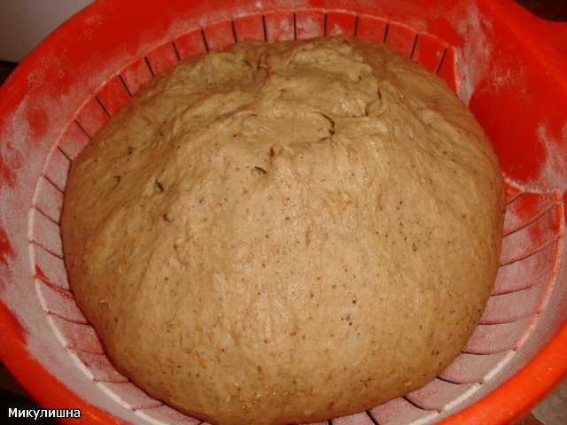 Pane di grano su mosto di segale kvas e pasta matura