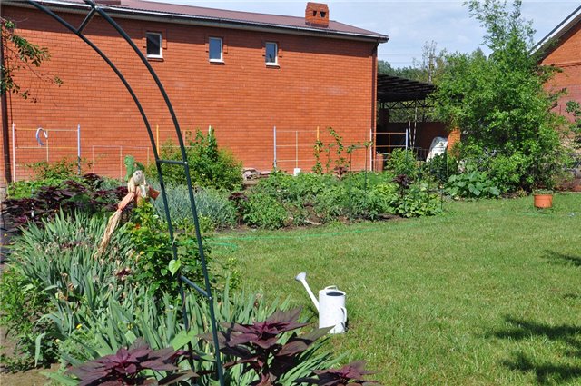 Gefermenteerde thee gemaakt van bladeren van tuin en wilde planten (masterclass)