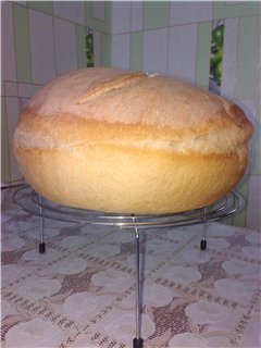 ฮอป sourdough ที่ง่ายที่สุด